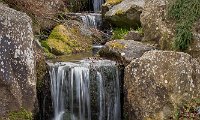 Wisley-2022 (3 of 24)